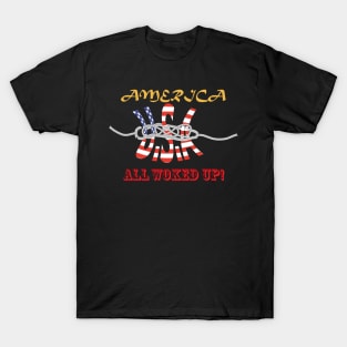 America - All Woked UP X 300 T-Shirt